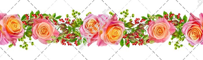 عکس حاشیه گل رز