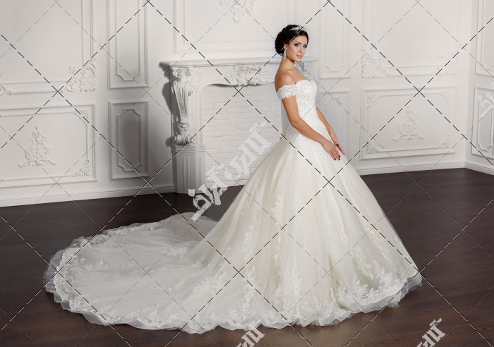 عکس مدل لباس عروس دنباله دار