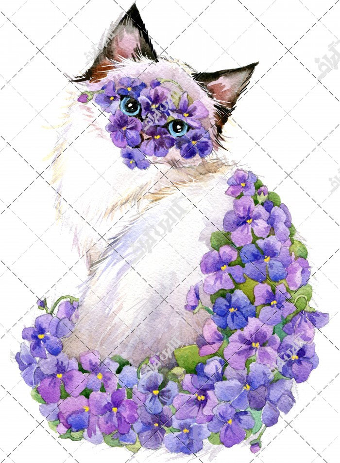 عکس نقاشی گربه با گل های بنفش
