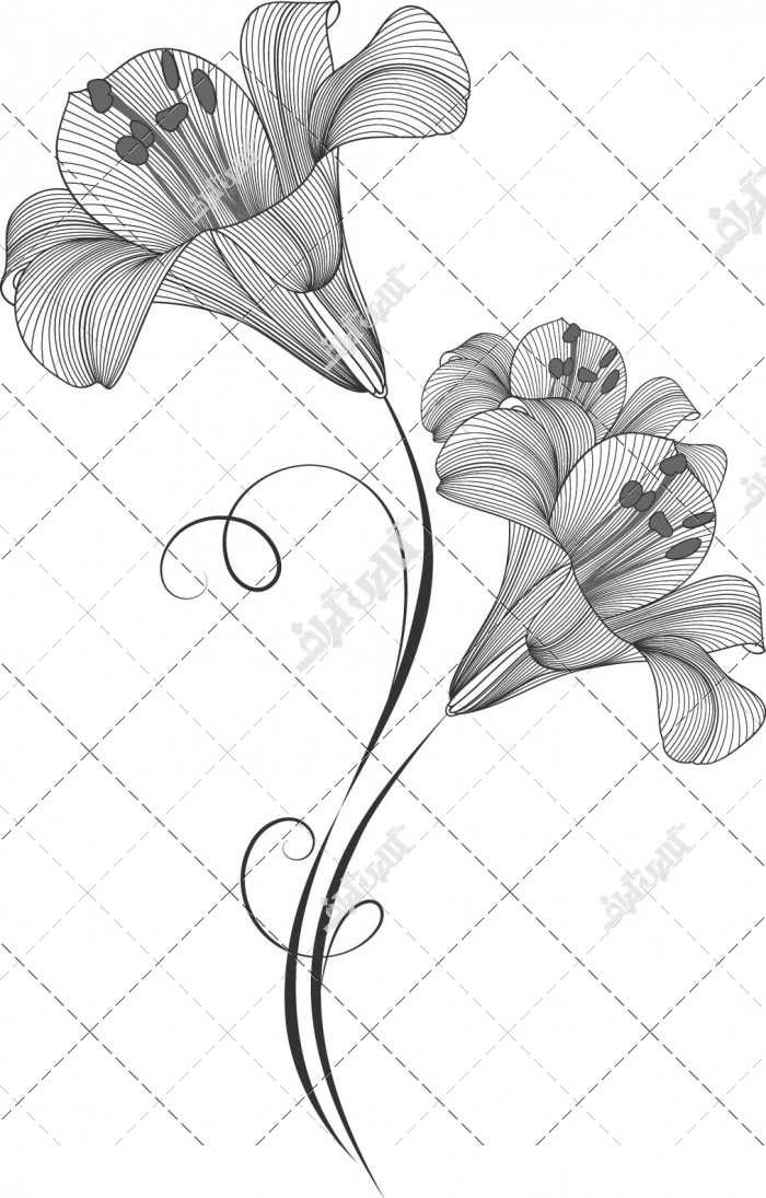 وکتور طراحی گل زنبق سه بعدی