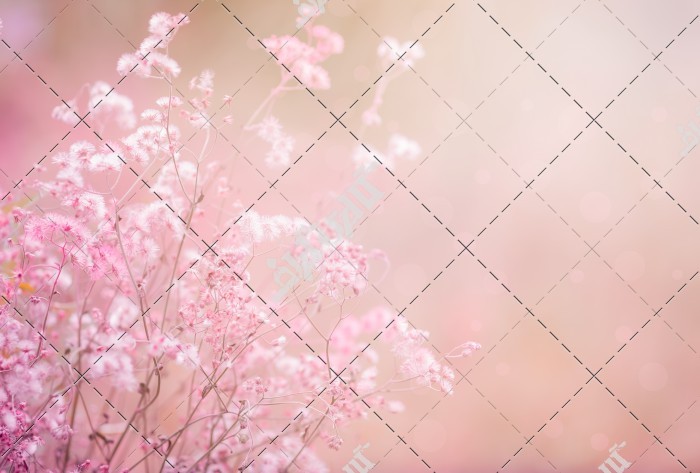 منظره زیبا از گل و شکوفه های صورتی