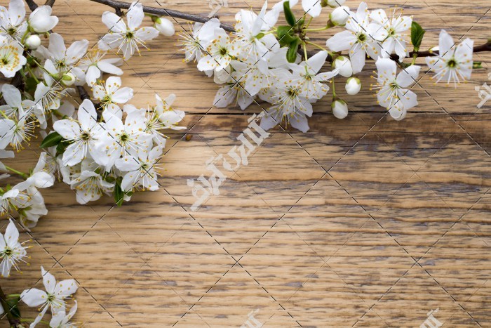 گل های سفید شاخه روی میز چوبی