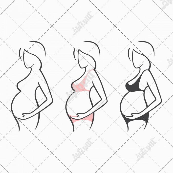 وکتور مراحل حاملگی و بزرگ شدن شکم زن باردار