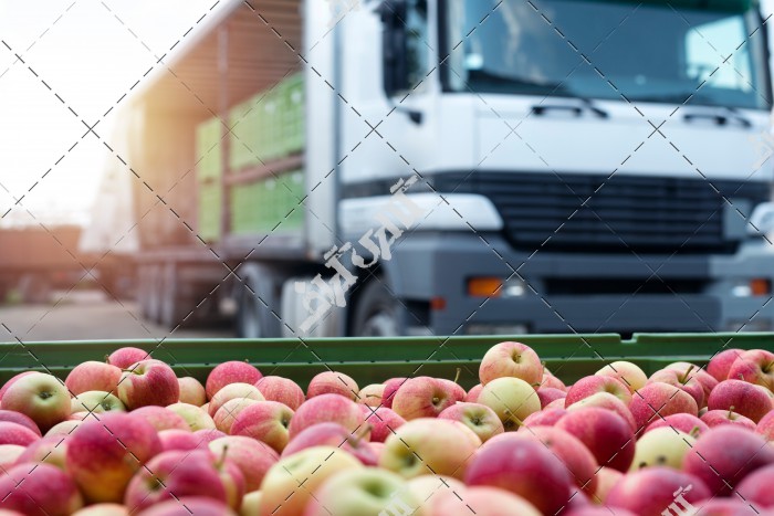 عکس کامیون و تلیری با بار سیب