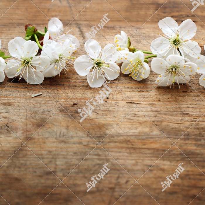 گل های سفید وانیلا زیبا روی میز چوبی