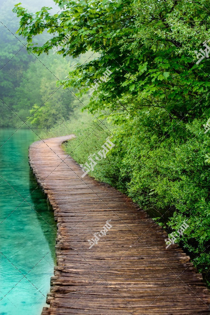 پل چوبی در دل جنگل و رودخانه