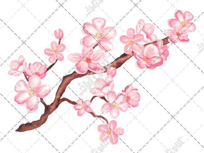 گل های صورتی شاخه درخت جدا شده