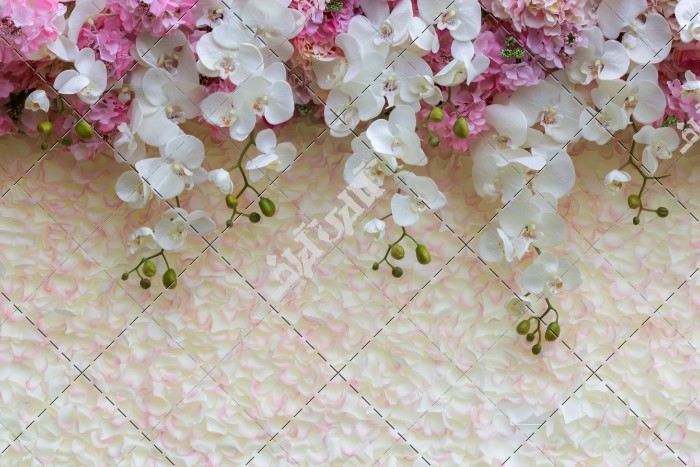 شکوفه های سفید و صورتی آویزان