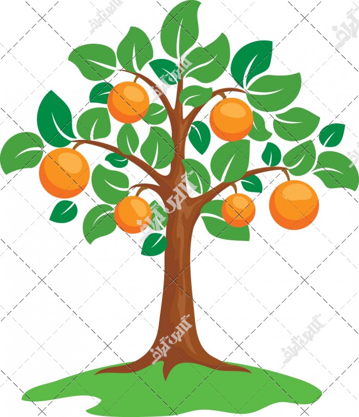وکتور درخت پرتقال