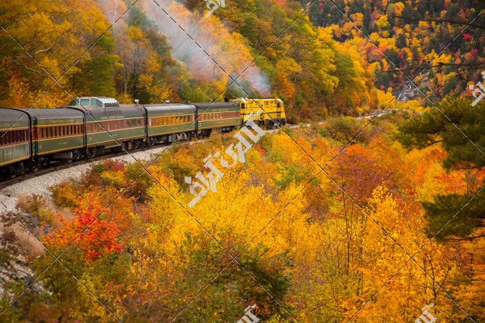 عکس ریل قطار در دل جنگل و کوه در پاییز
