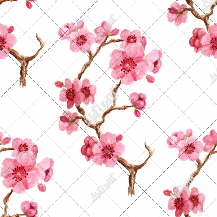 نقاشی شکوفه صورتی شاخه درخت