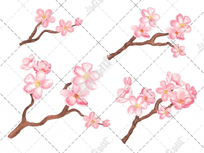 شکوفه های صورتی شاخه جدا شده
