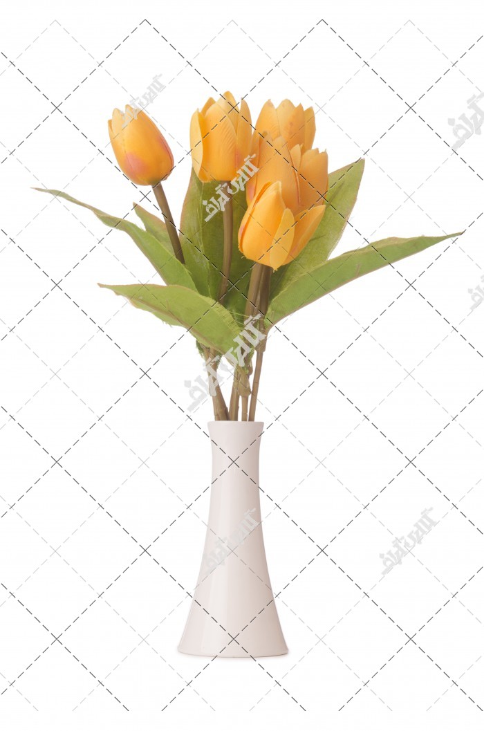عکس گلدان سفید و گل زرد