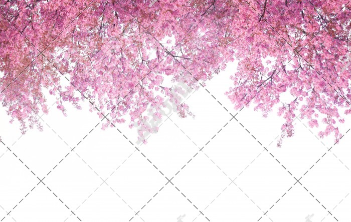 عکس شکوفه های آویزان