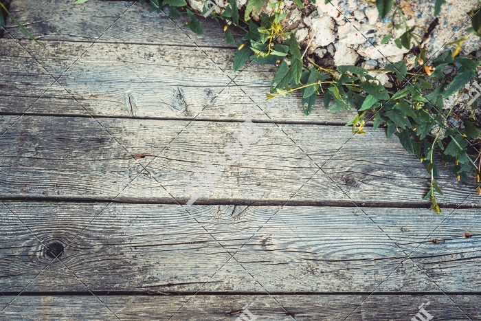 عکس حاشیه گل طبیعی روی میز چوبی