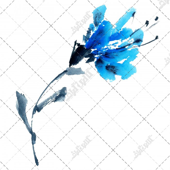 عکس نقاشی شاخه گل آبی