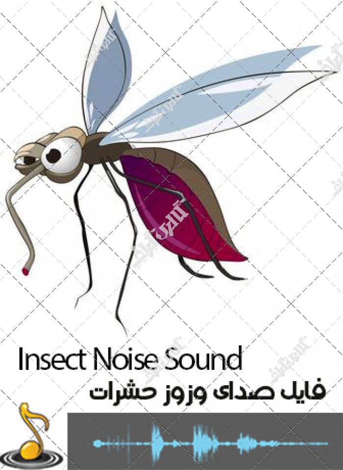 دانلود صدای صدای حشرات
