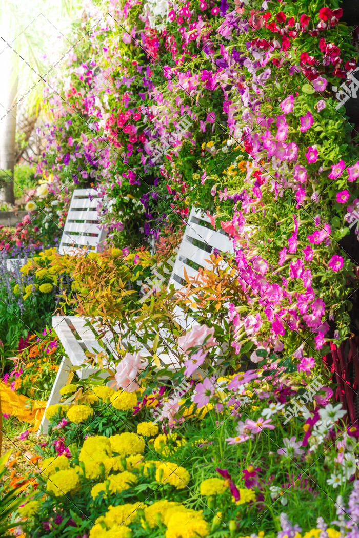 دانلود تصویر باکیفیت  باغ گل رویایی
