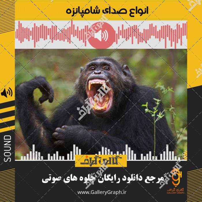 دانلود رایگان فایل صوتی صدای میمون شامپانزه