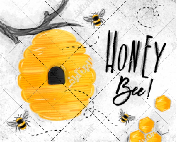 طراحی کندو زنبور عسل