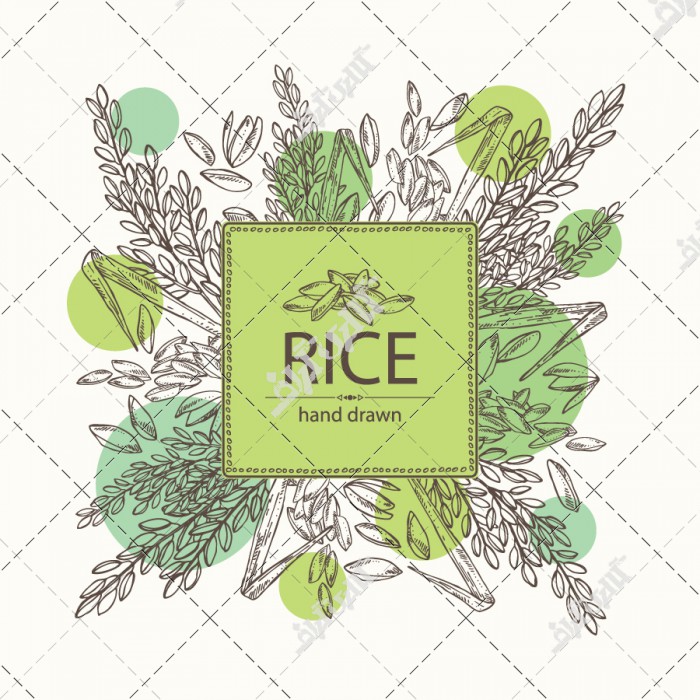وکتور بسته بندی کیسه برنج