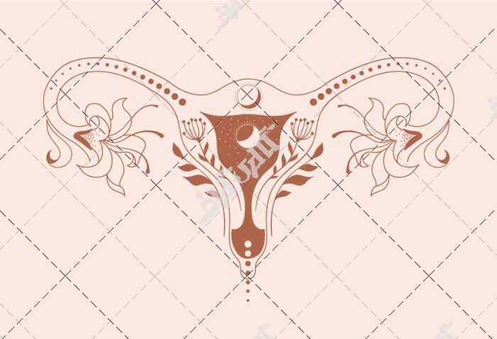 وکتور رحم زنان با طرح گل و ماه ستاره دهانه رحم