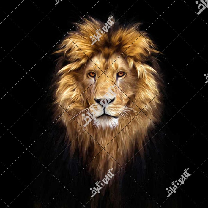 عکس شیر سلطان جنگل