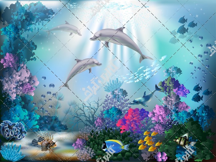 تصویر باکیفیت دلفین ها و گیاهان دریایی