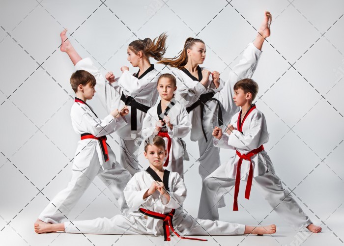 تصویر گروهی از کودکان کاراته کار