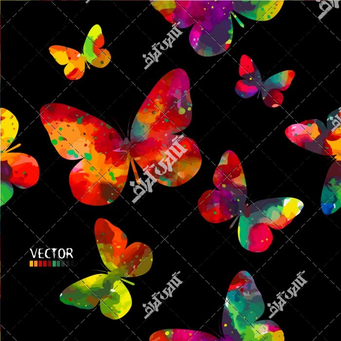 دانلود تصویر با کیفیت پروانه های رنگارنگ