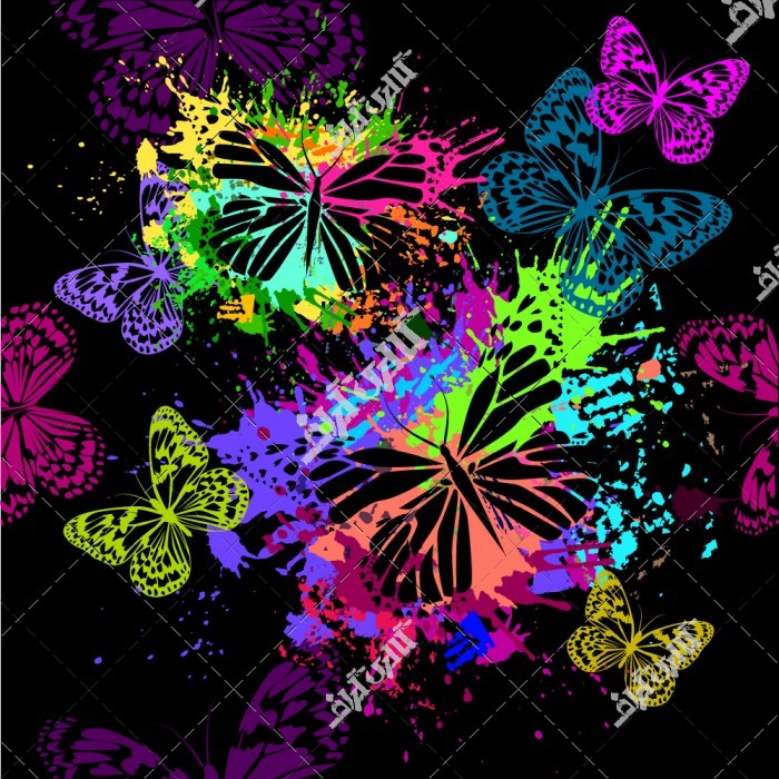 دانلود تصویر استوک با کیفیت پروانه های تزئینی