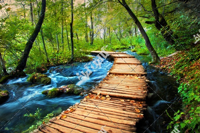 دانلود تصویر با کیفیت رودخانه های پلیتوویس کرواسی