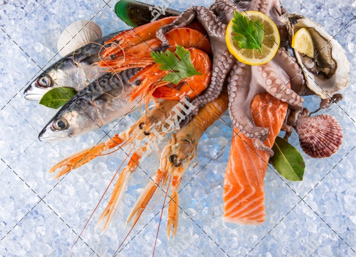 دانلود تصویر با کیفیت غذا های دریایی
