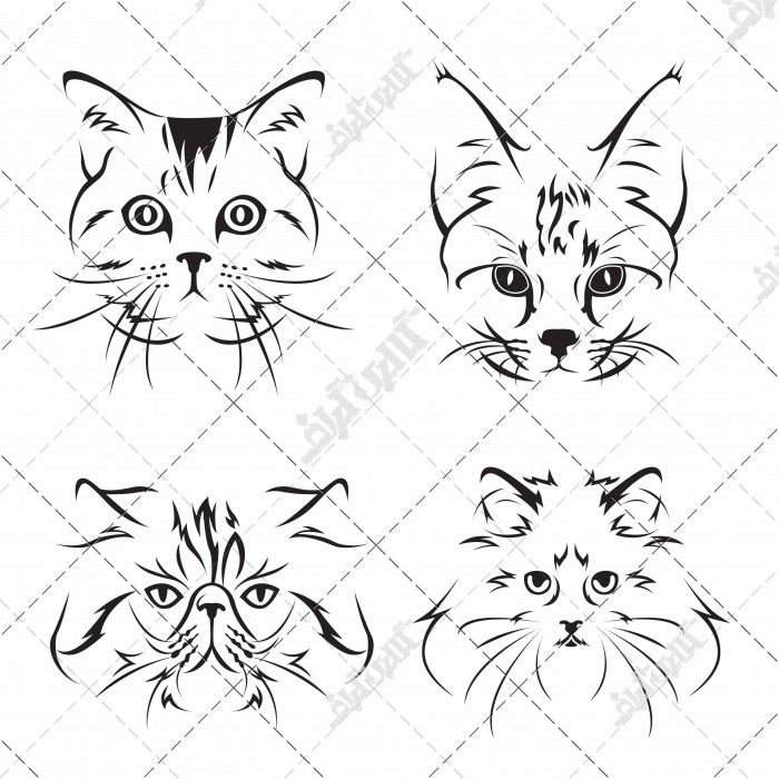 وکتور مجموعه طرح های گربه برای تاتو