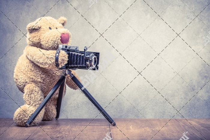 دانلود تصویر با کیفیت عروسک خرس روز ولنتاین
