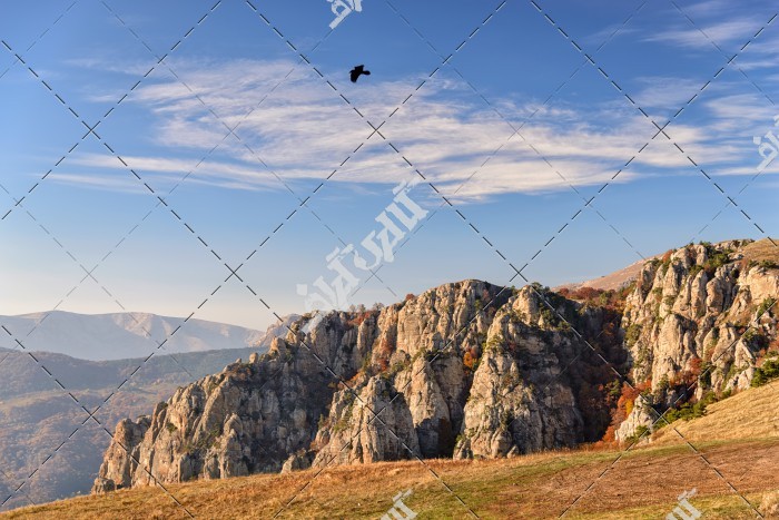 دانلود تصویر با کیفیت پرواز پرنده بر فراز صخره ها