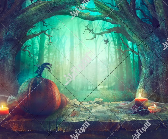 دانلود تصویر با کیفیت کذو تنبل های شب هالووین در جنگل مه آلود
