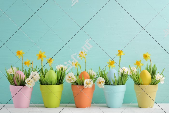 دانلود تصویر با کیفیت گل های بهاری در گلدان های رنگی