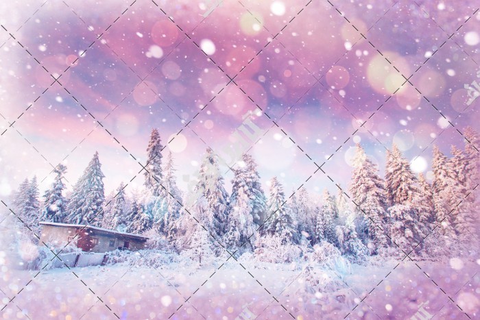 دانلود تصویر با کیفیت جنگل های پوشیده از برف