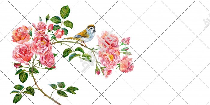 دانلود تصویر با کیفیت کارت پستال با طرح گل و پرنده