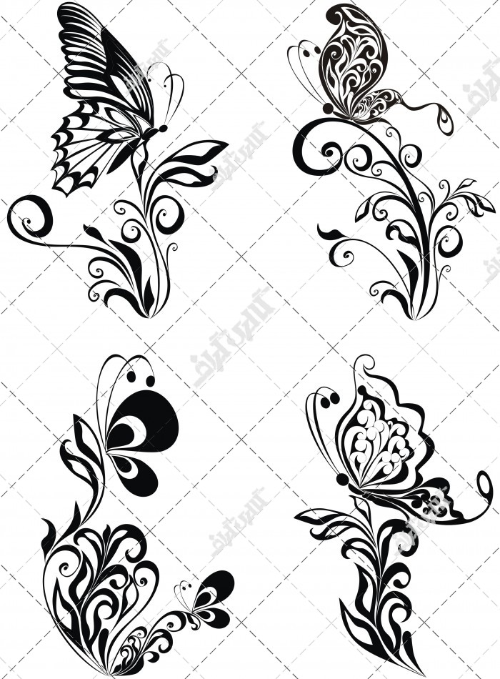 عکس انواع الگو گل و پروانه