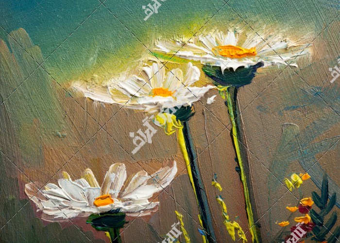 نقاشی گل شش پر سفید گل مروارید آستراکی