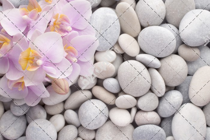 عکس سنگ های سفید مخصوص ماساژ