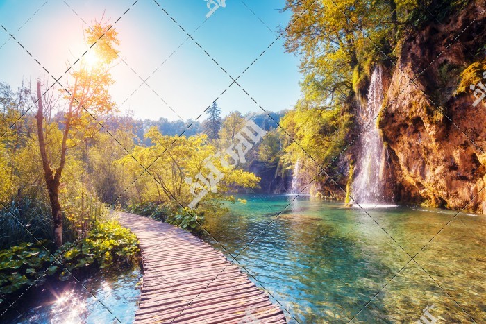 عکس رودخانه و آبشار در جنگل بهاری