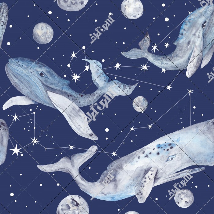عکس نقاشی دلفین و نهنگ