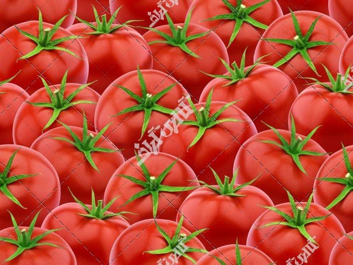 نقاشی گوجه فرنگی