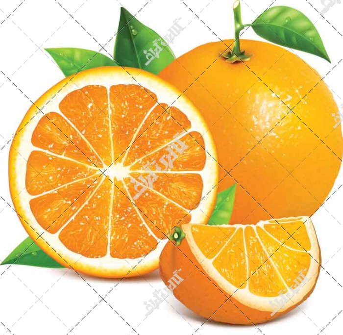 وکتور با کیفیت میوه پرتقال