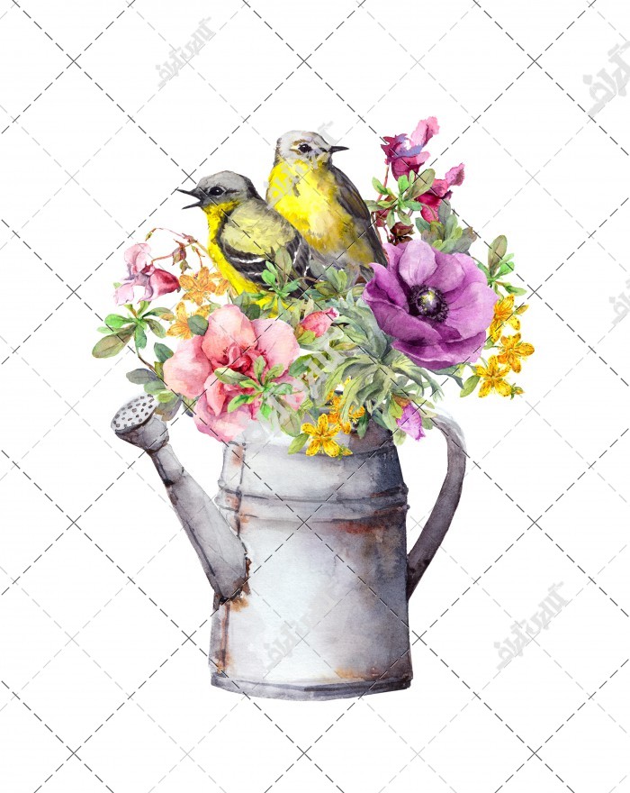 عکس با کیفیت نقاشی گل و پرنده