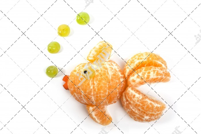 عکس ماهی میوه ای با نارنگی