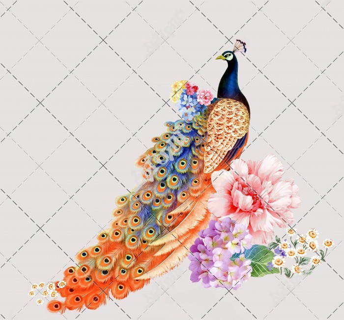 عکس نقاشی طاووس و پر طاووس
